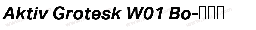 Aktiv Grotesk W01 Bo字体转换